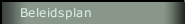 Beleidsplan